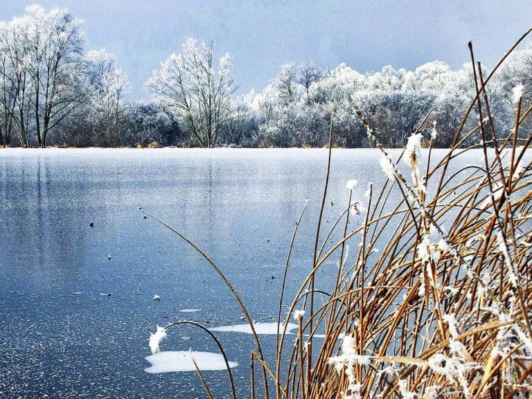 Winterlinie